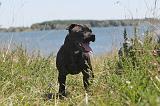 STAFFIE 046
